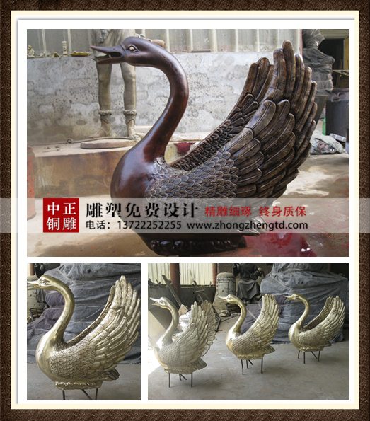 天鵝 - 萬能看圖王 - 萬能看圖王.jpg